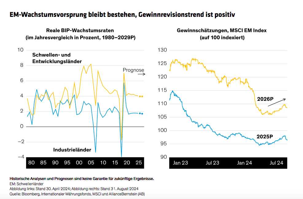 suzuki-emerging-markets-five-opportunities-for-equity-investors_display-3_d5_de