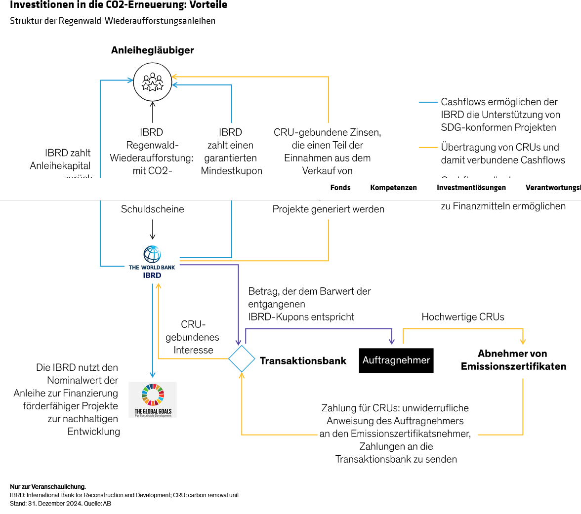 dumes-fan-oconnell_impact-bonds_display-2_d5_de